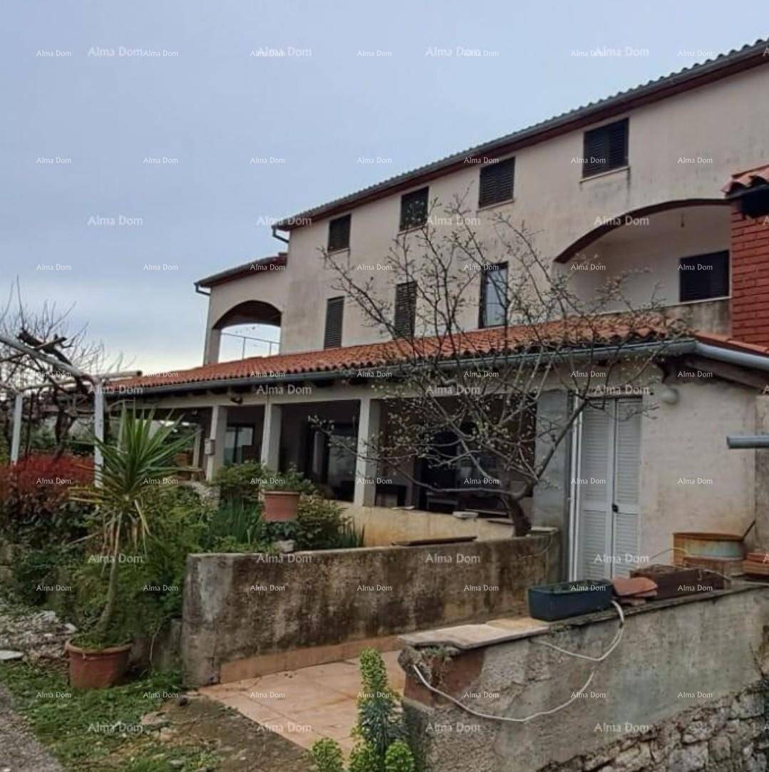 Rückansicht des Hauses mit überdachter Terrasse und üppiger Bepflanzung im Gartenbereich.