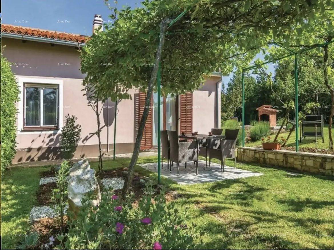 Schattiger Essbereich im Garten unter einer Pergola, umgeben von Pflanzen und Rasen.