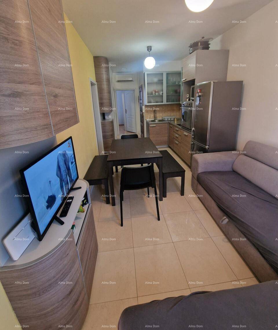 Offener Wohnbereich mit integrierter Küche, Essbereich und Fernseher.
