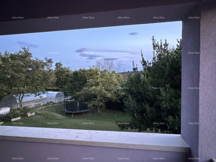 Blick von einem Balkon auf den Garten mit Trampolin und Gewächshaus im Abendlicht.