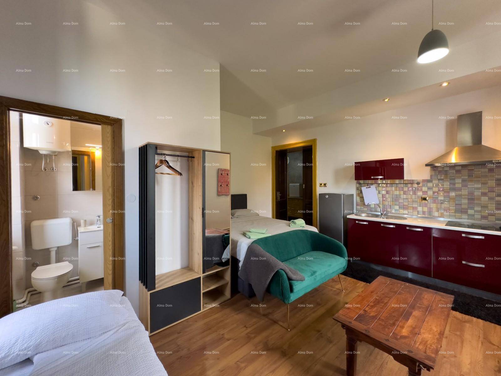 Studio-Apartment mit Schlafbereich, Küchenzeile und direktem Zugang zu einem Badezimmer.