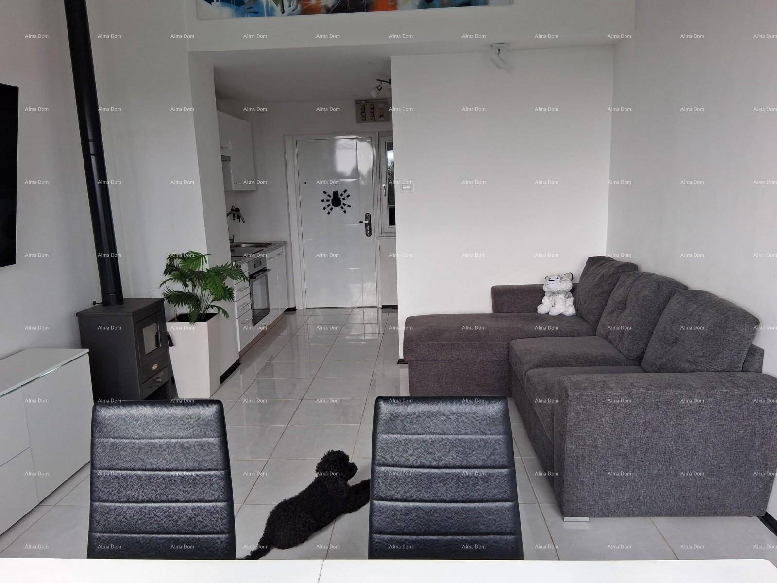 Heller Wohnbereich mit Sofa, Essbereich und Zugang zur Küchenzeile und Eingangstür.