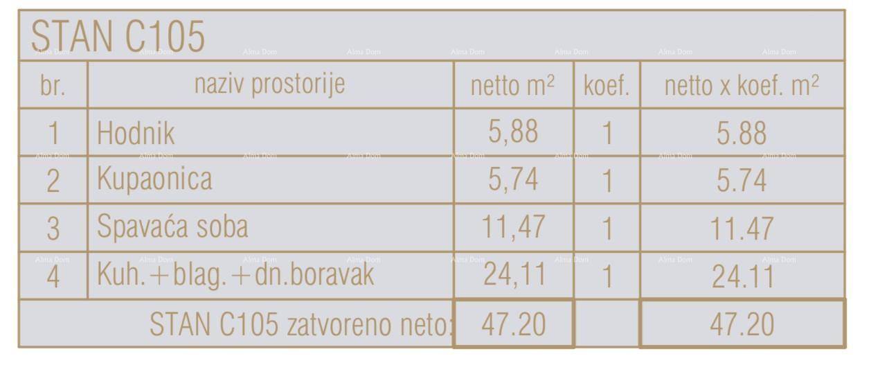 Slide 7