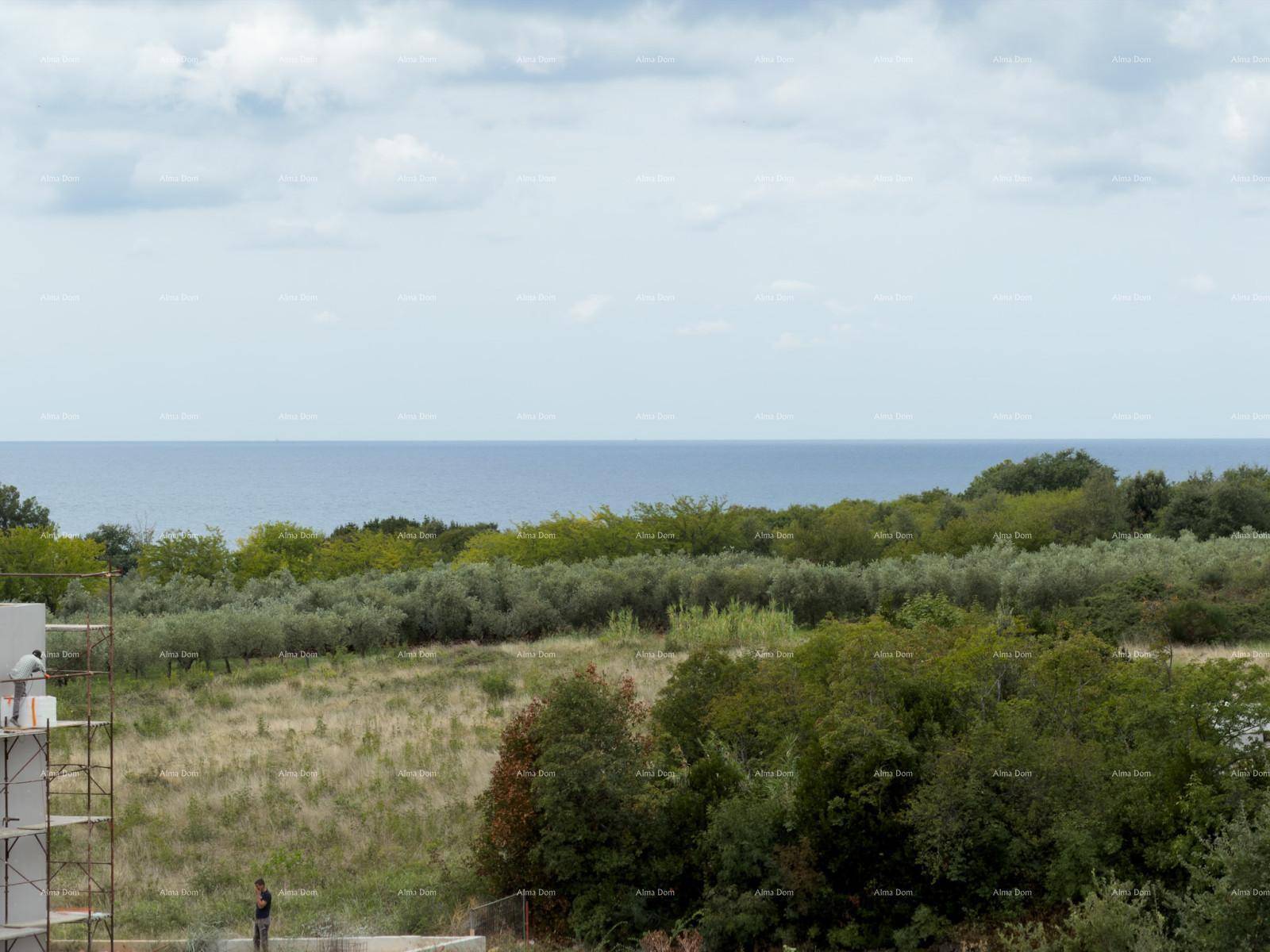 Weitläufiger Blick auf das Meer und die grüne Landschaft mit Olivenbäumen.