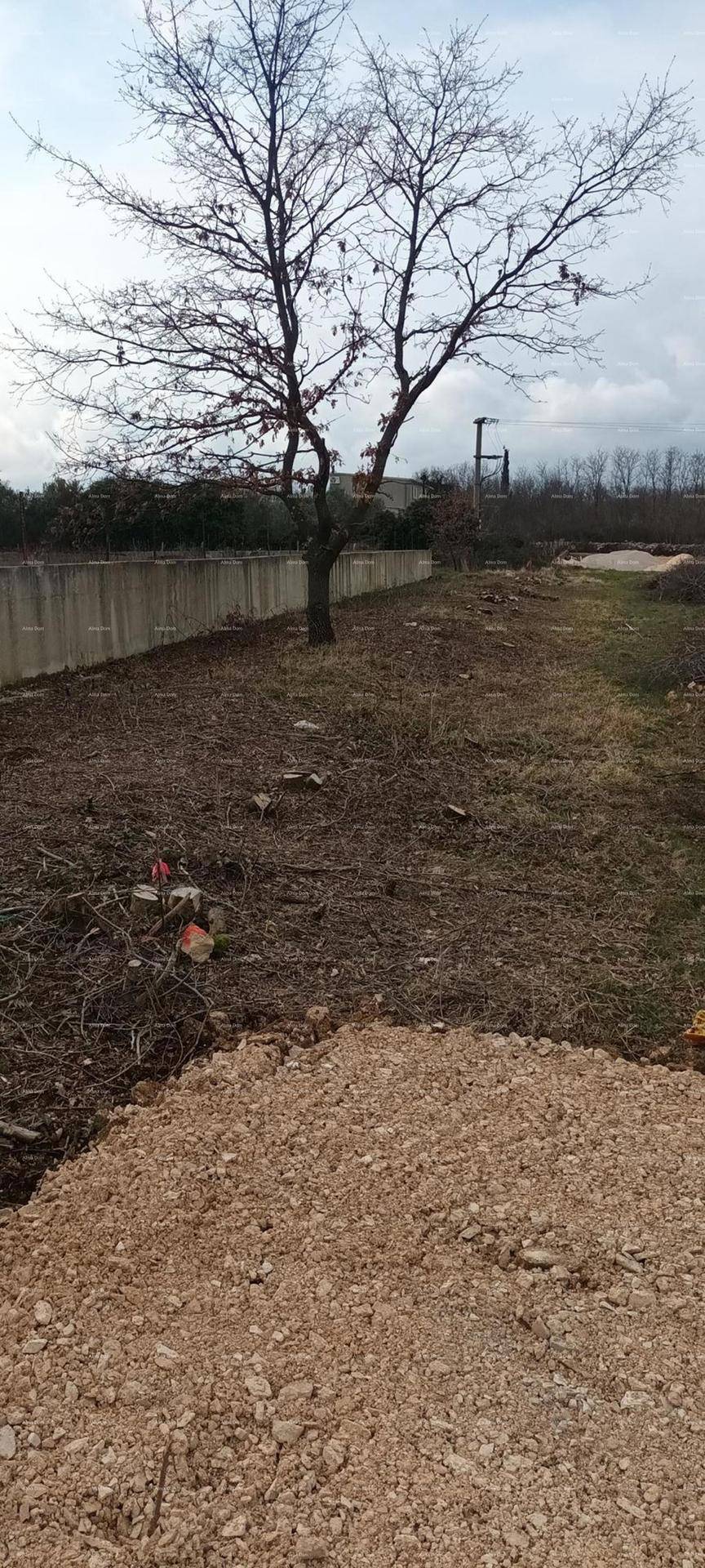 Unbebautes Grundstück mit einem kahlen Baum und einem Erdhaufen unter einem grauen Himmel.