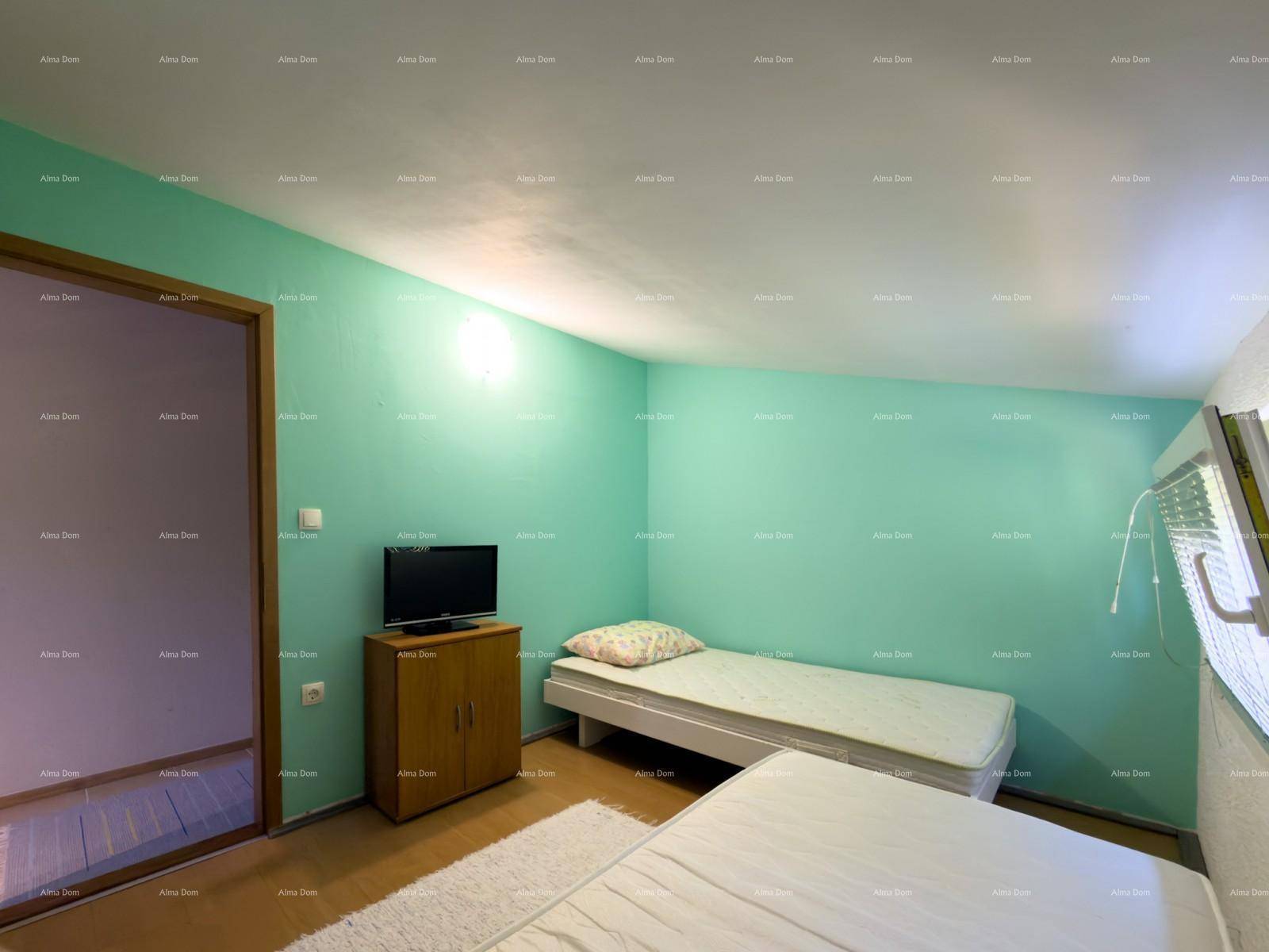 Helles Schlafzimmer mit Einzelbetten, grüner Wand und Fernseher.
