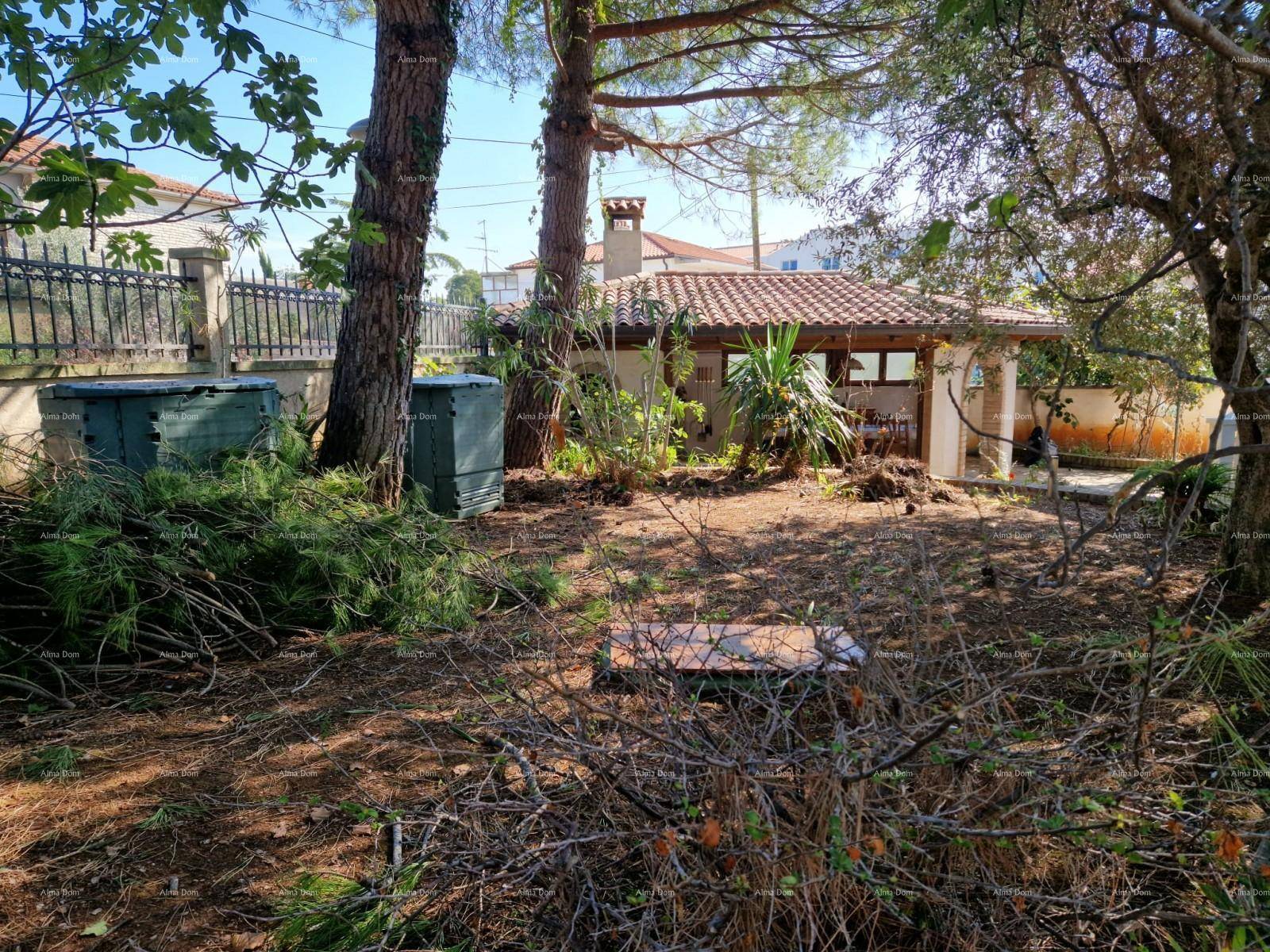 Naturbelassener Gartenbereich mit Bäumen, Sträuchern und einem kleinen Nebengebäude im Hintergrund.