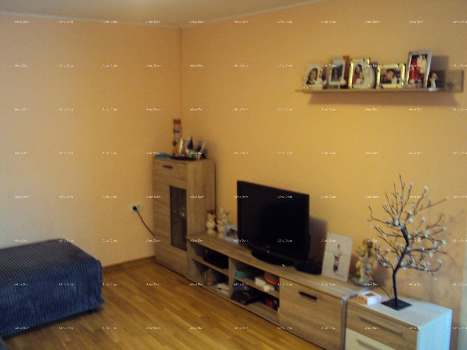 Wohnzimmer mit TV-Möbeln, Dekoration und einem Regal an der Wand.
