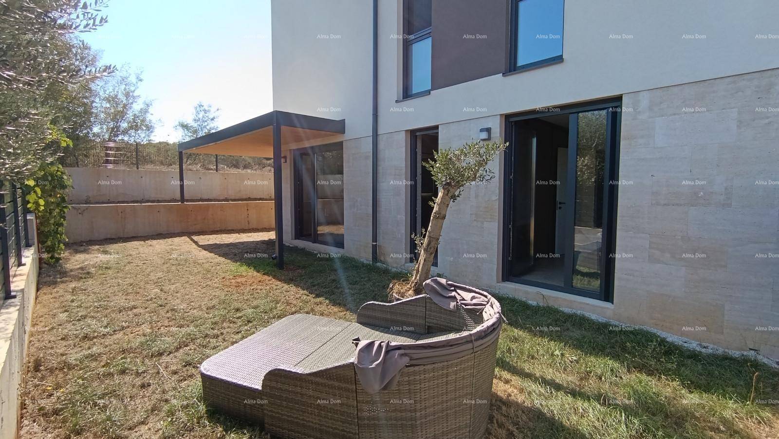 Außenbereich mit Rasen, Olivenbaum und moderner Pergola, die Schatten spendet.