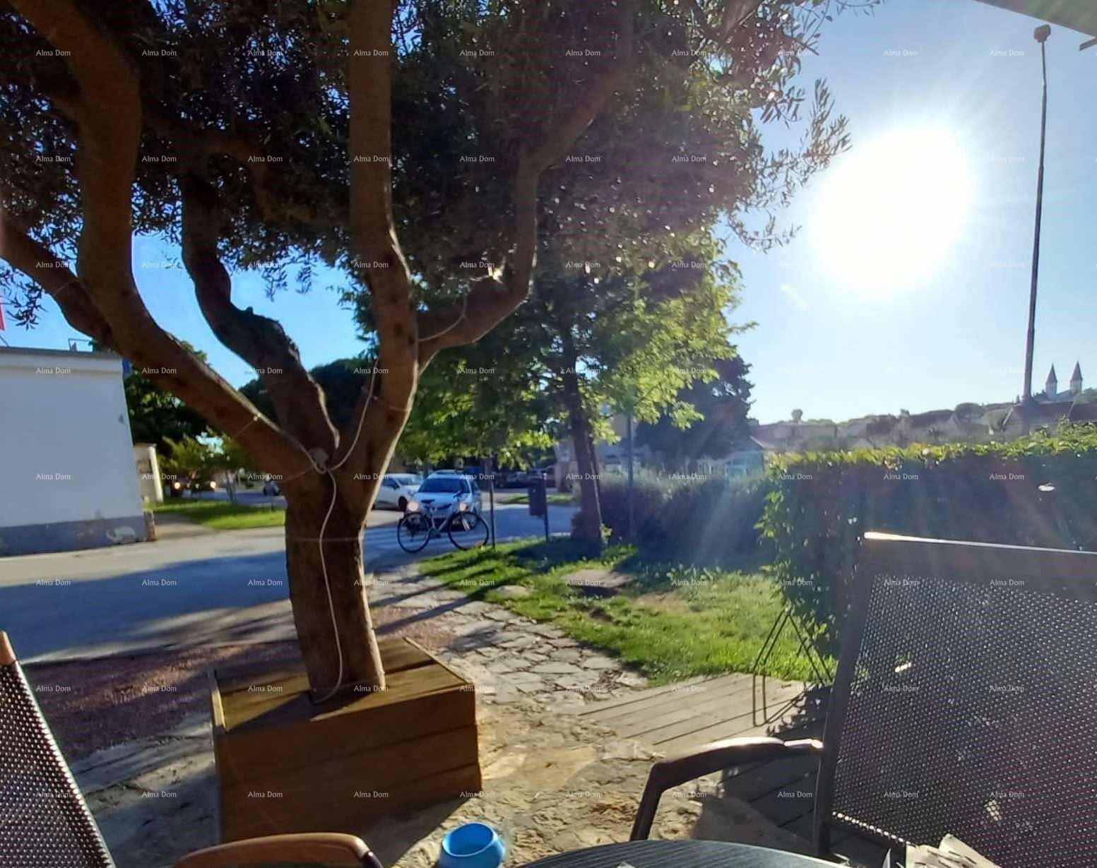 Sonniger Außenbereich mit Tischen und Stühlen unter einem Baum, ideal für Gäste.