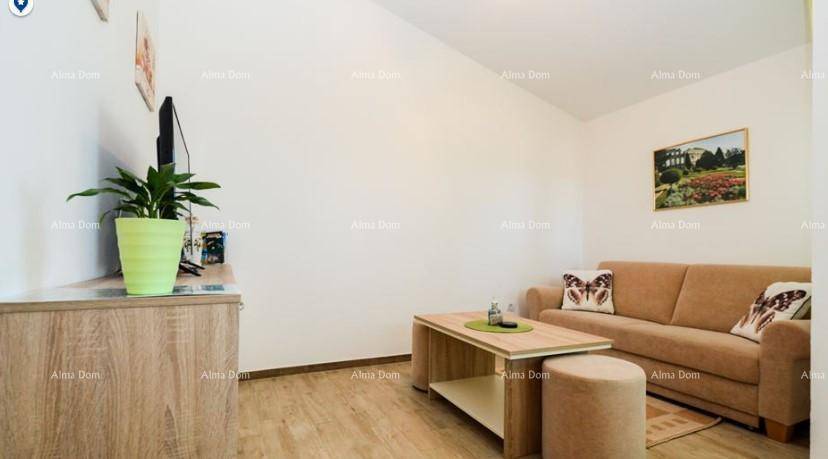 Helles Wohnzimmer mit beigem Sofa, Holzboden und einem kleinen Couchtisch, ideal zum Entspannen.