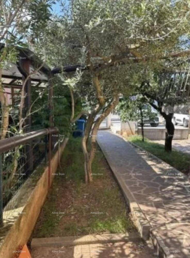 Gartenweg mit Bäumen und üppigem Grün, der zu einem Außenbereich führt.