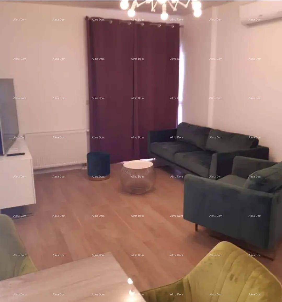 Gemütlicher Wohnbereich mit dunkelgrünen Sofas, Couchtisch und Blick auf den Essbereich.
