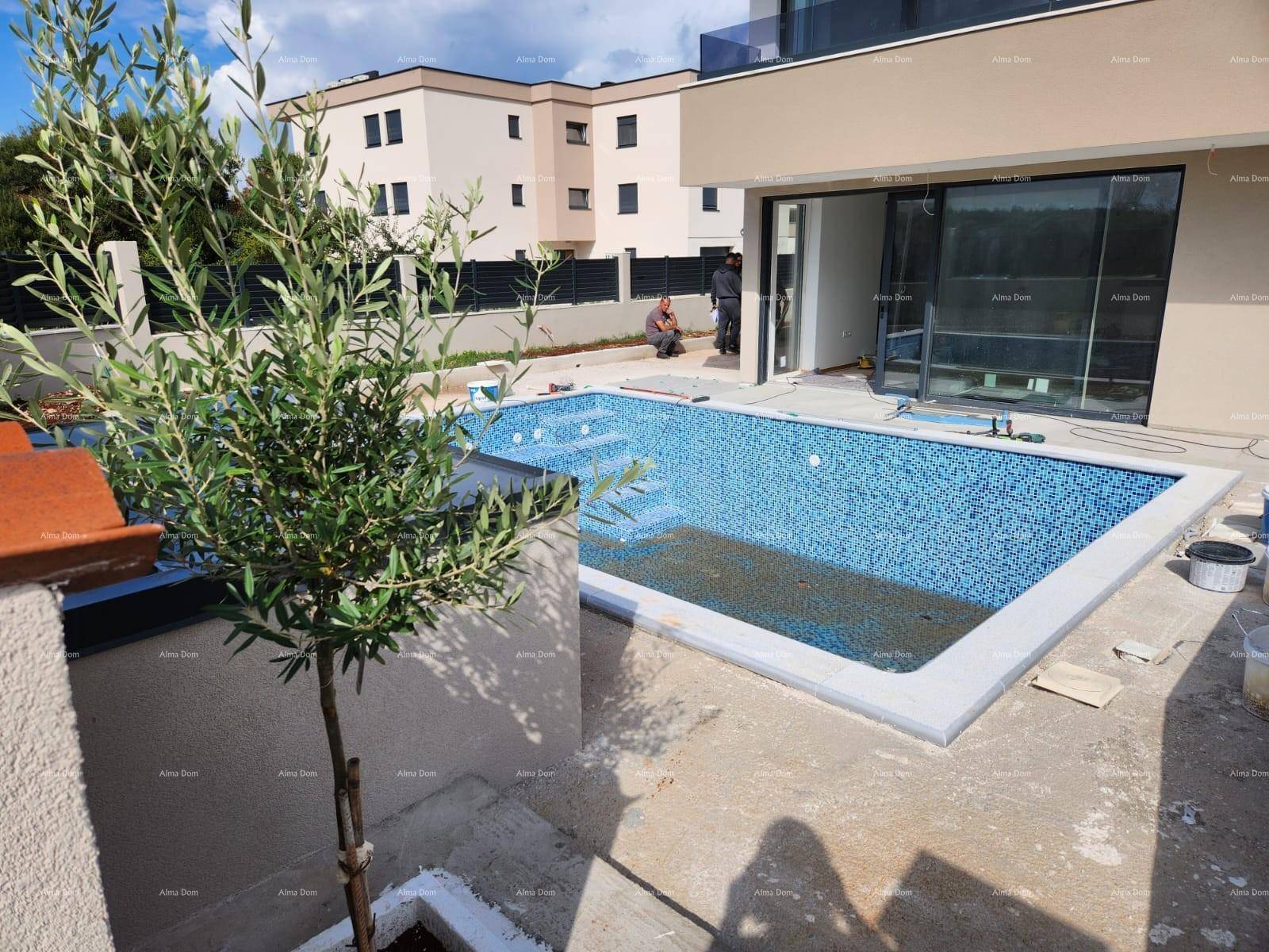 Außenbereich mit einem im Bau befindlichen Pool und einem jungen Olivenbaum vor dem Haus.