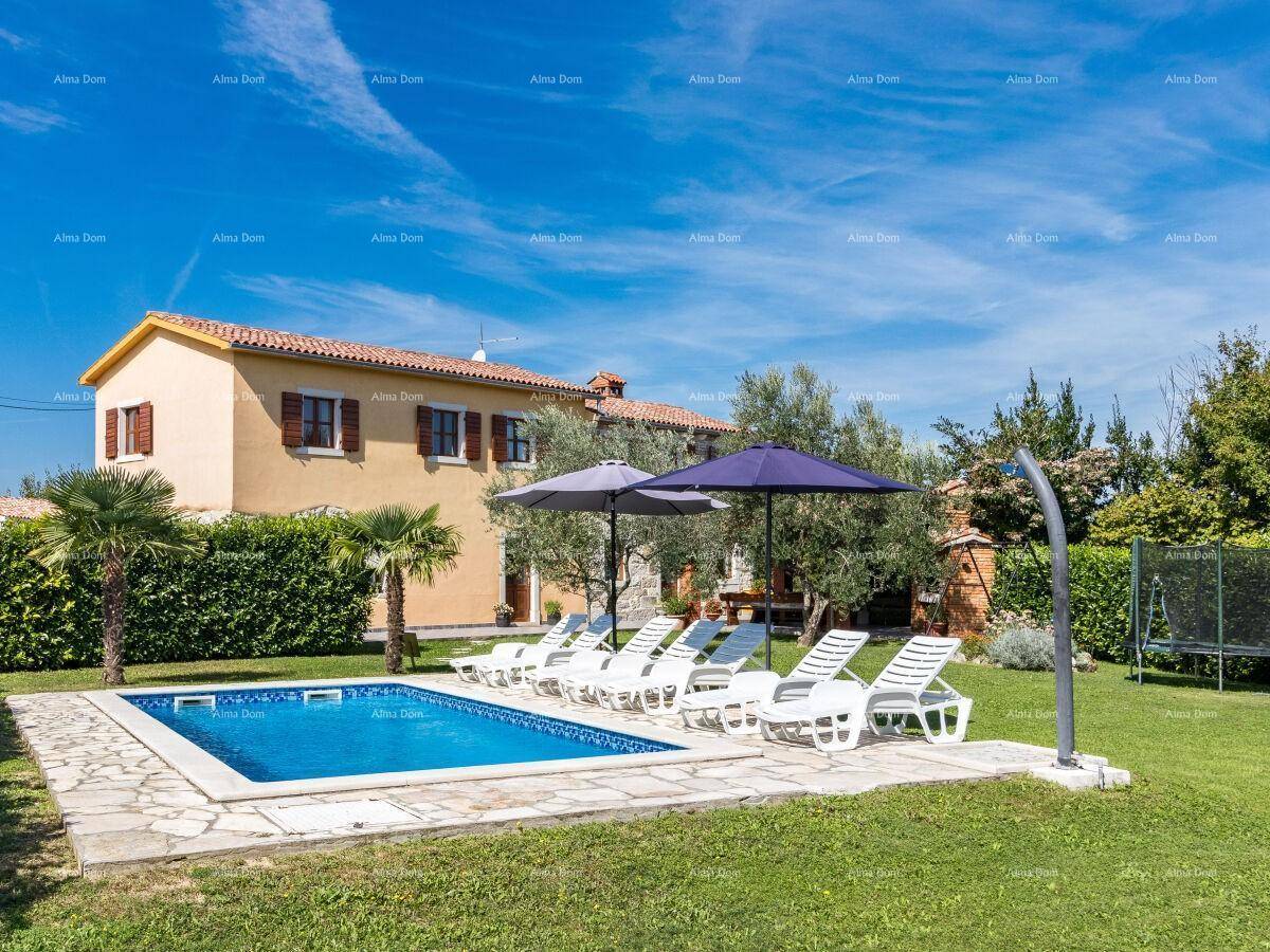 Großer Garten mit Pool, Liegefläche und Trampolin im Hintergrund.