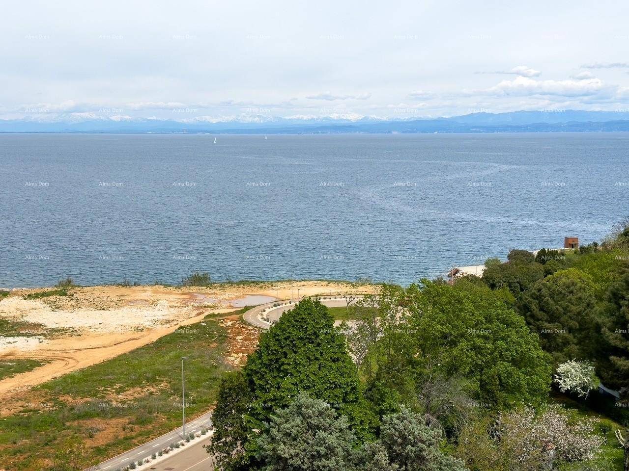 Malerischer Ausblick auf das weite Meer und die majestätischen Berge am Horizont, umgeben von grüner Landschaft.