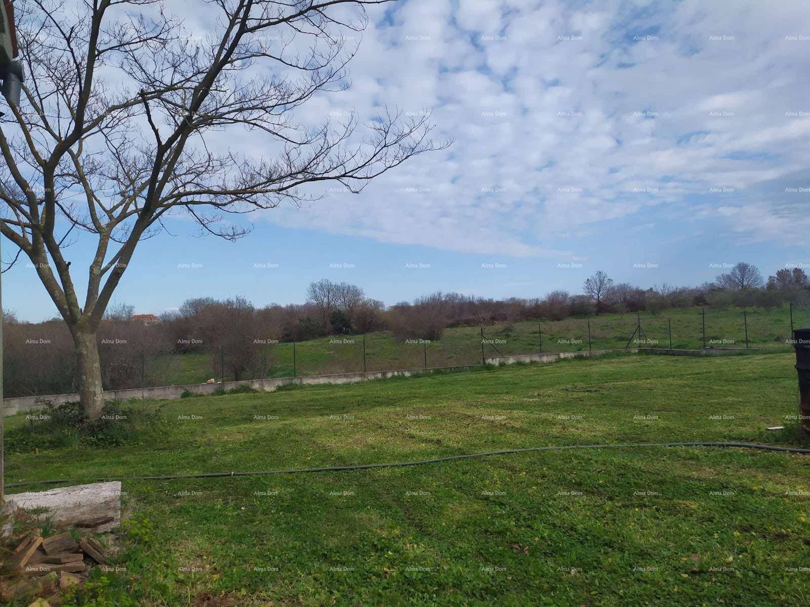 Offene grüne Landschaft unter bewölktem Himmel mit weitem Blick.