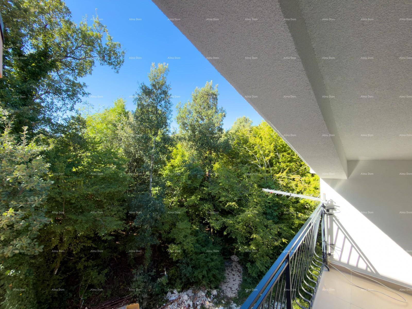 Blick vom Balkon auf üppiges Grün und blauen Himmel.