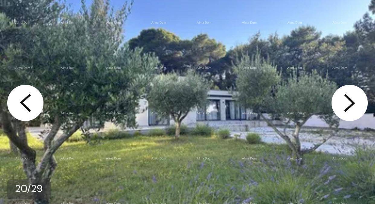 Gepflegter Gartenbereich mit Olivenbäumen und Blick auf das moderne Wohnhaus.