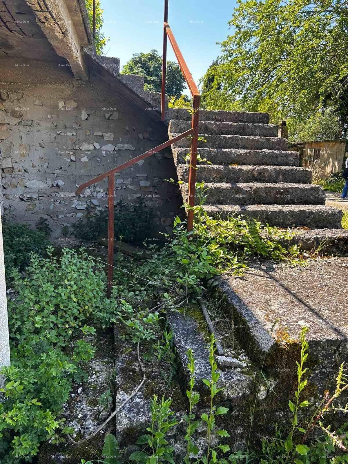 Detailansicht der steinernen Außentreppe, stark bewachsen mit Unkraut und rostigem Geländer.