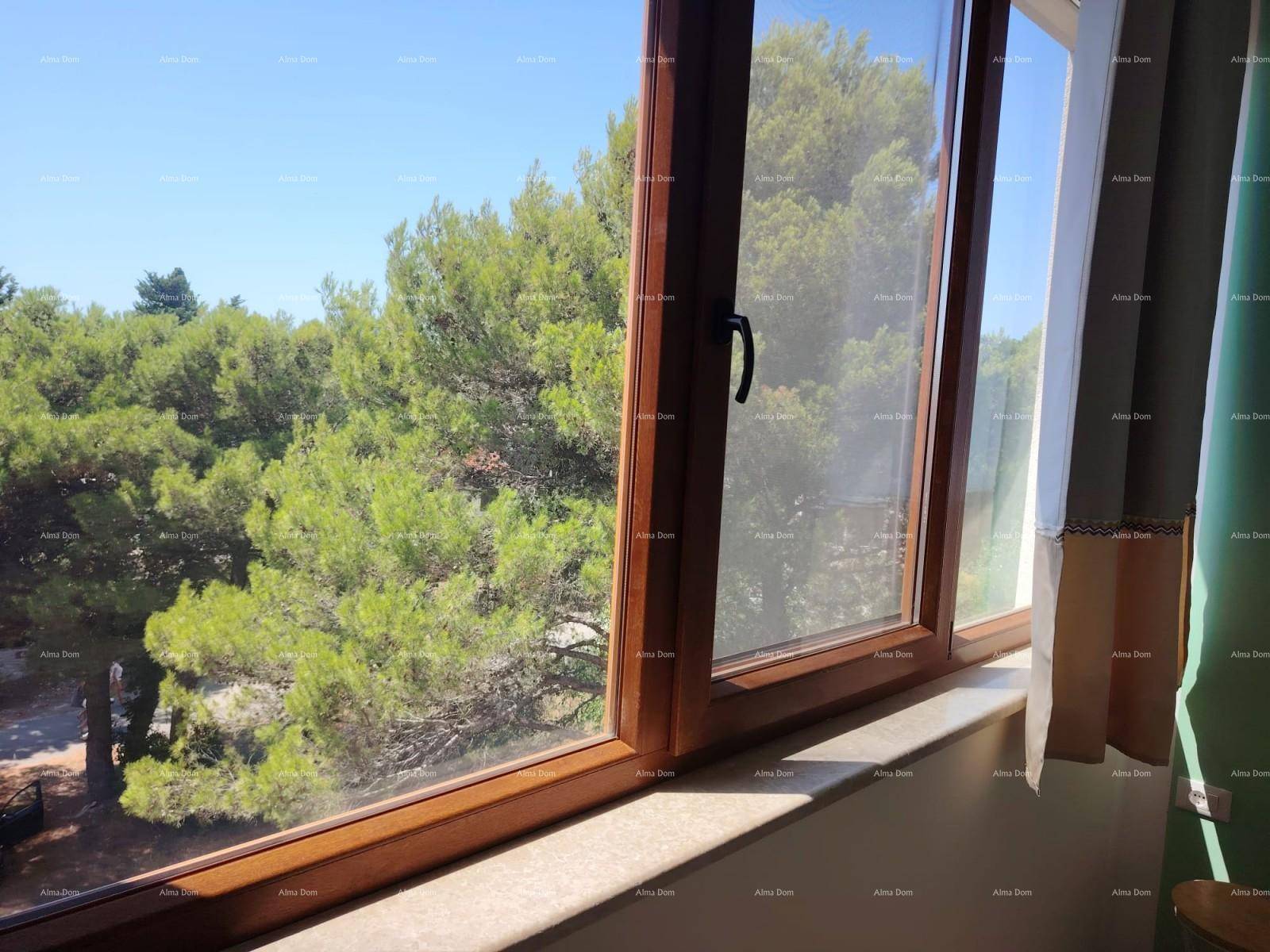 Fensterblick auf üppiges Grün und Bäume, das viel natürliches Licht in den Raum lässt.