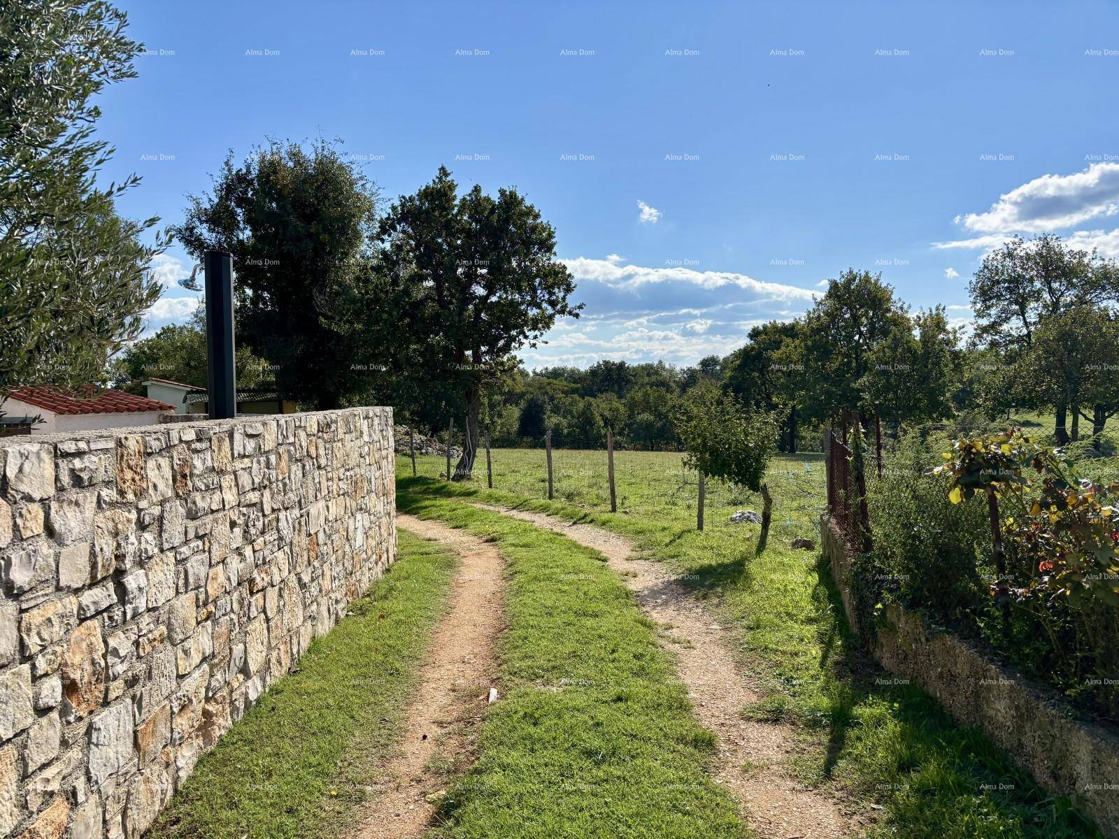 Feldweg neben einer Steinmauer, der zu einer grünen Wiese mit Bäumen unter blauem Himmel führt.