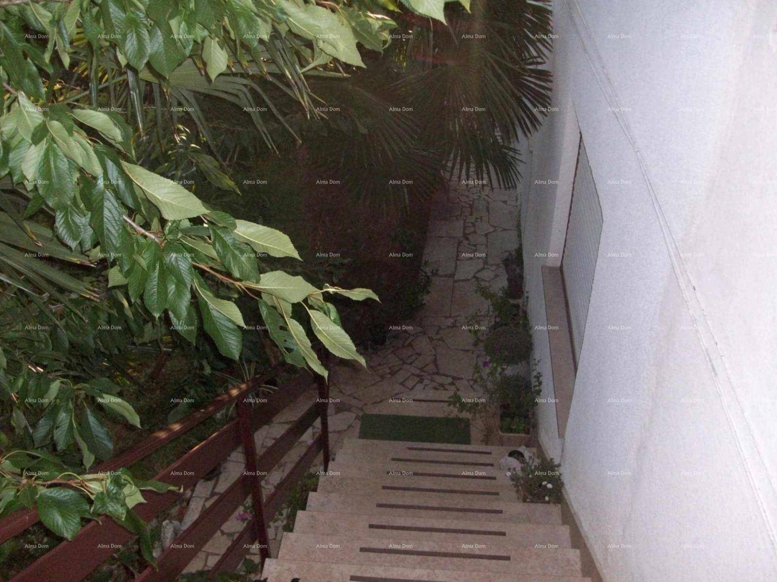 Steintreppe führt durch üppiges Grün zu einem versteckten Gartenbereich.