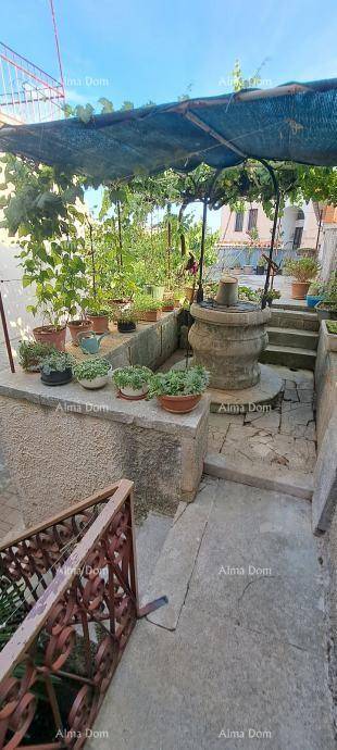 Mediterraner Gartenbereich mit einem alten Brunnen, vielen Pflanzen und einer schattenspendenden Pergola.