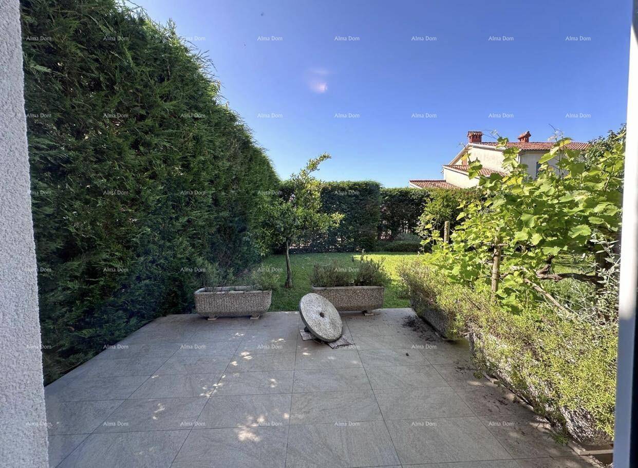 Gepflasterte Terrasse mit großen Pflanzkübeln, einem dekorativen Stein und hoher Hecke.