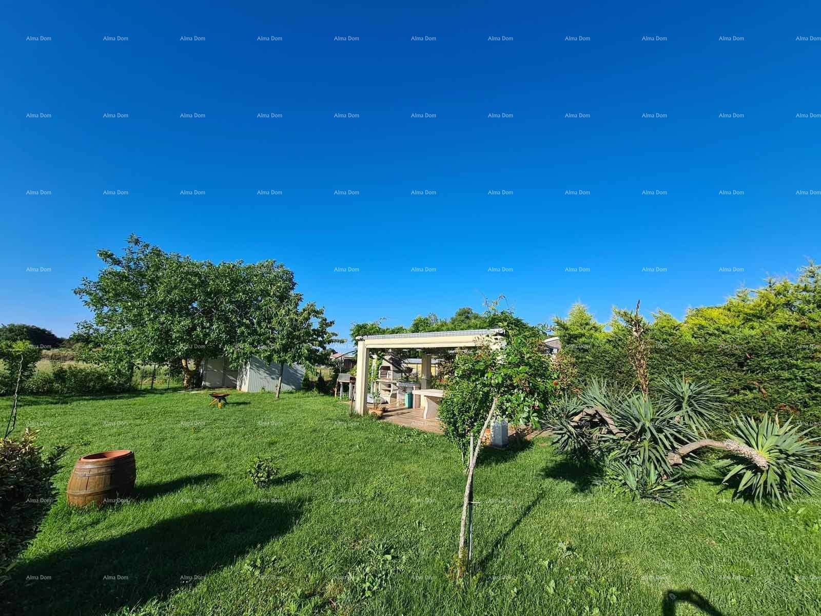 Geräumiger Garten mit altem Baumbestand, Rasenfläche und einem kleinen Geräteschuppen im Hintergrund.