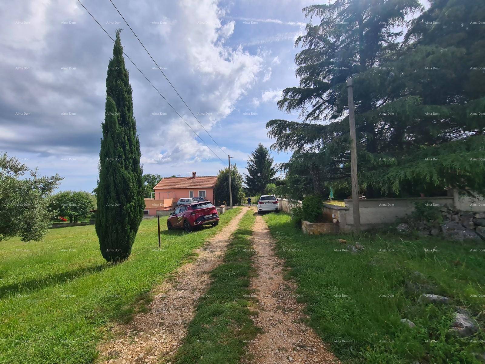 Ländlicher Zufahrtsweg zu einem Haus, umgeben von Grünflächen, Bäumen und Natur.