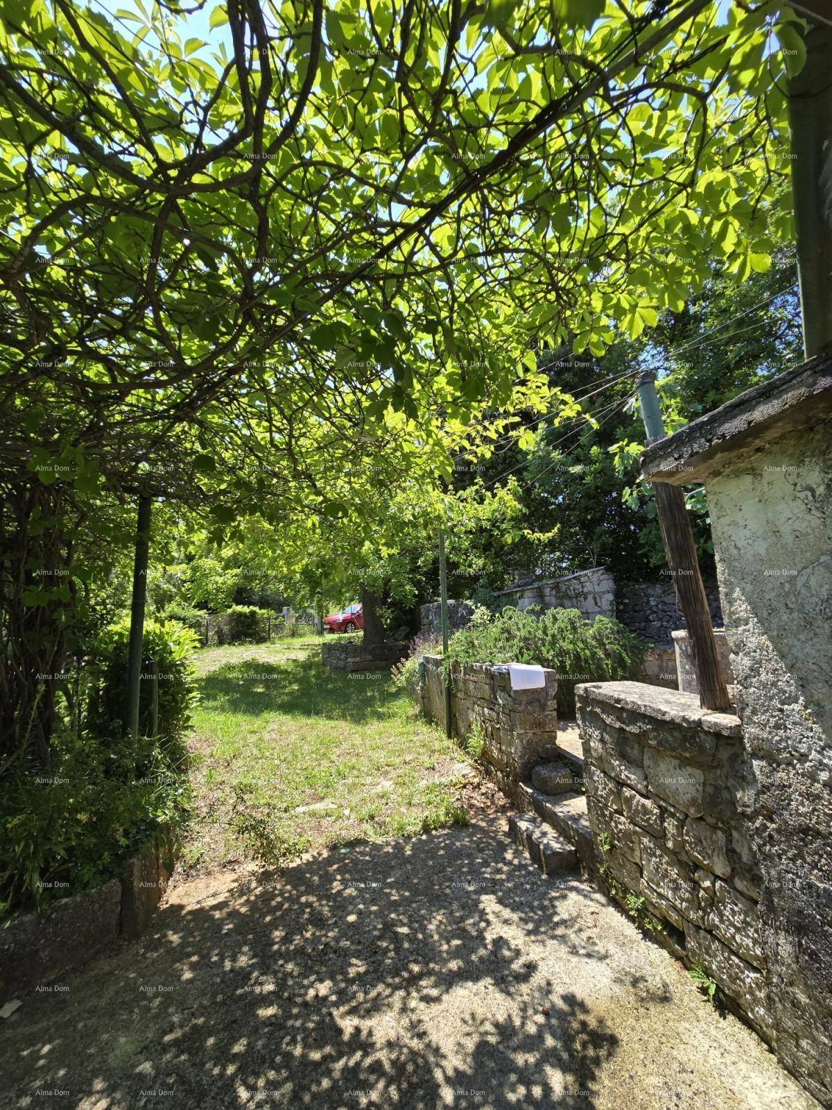 Gartenweg unter einem Blätterdach, der zu einer grünen Rasenfläche führt.