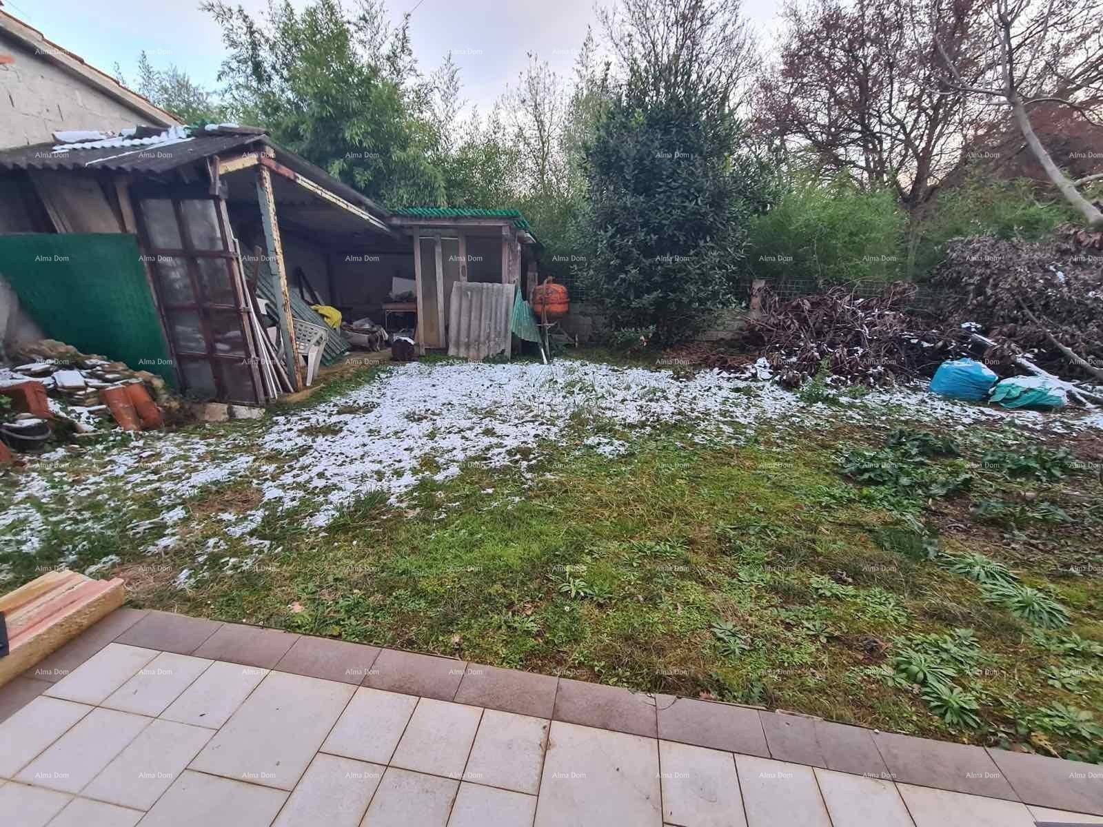 Gartenbereich mit Rasenfläche, Bäumen, Sträuchern und einem kleinen Schuppen im Winter.
