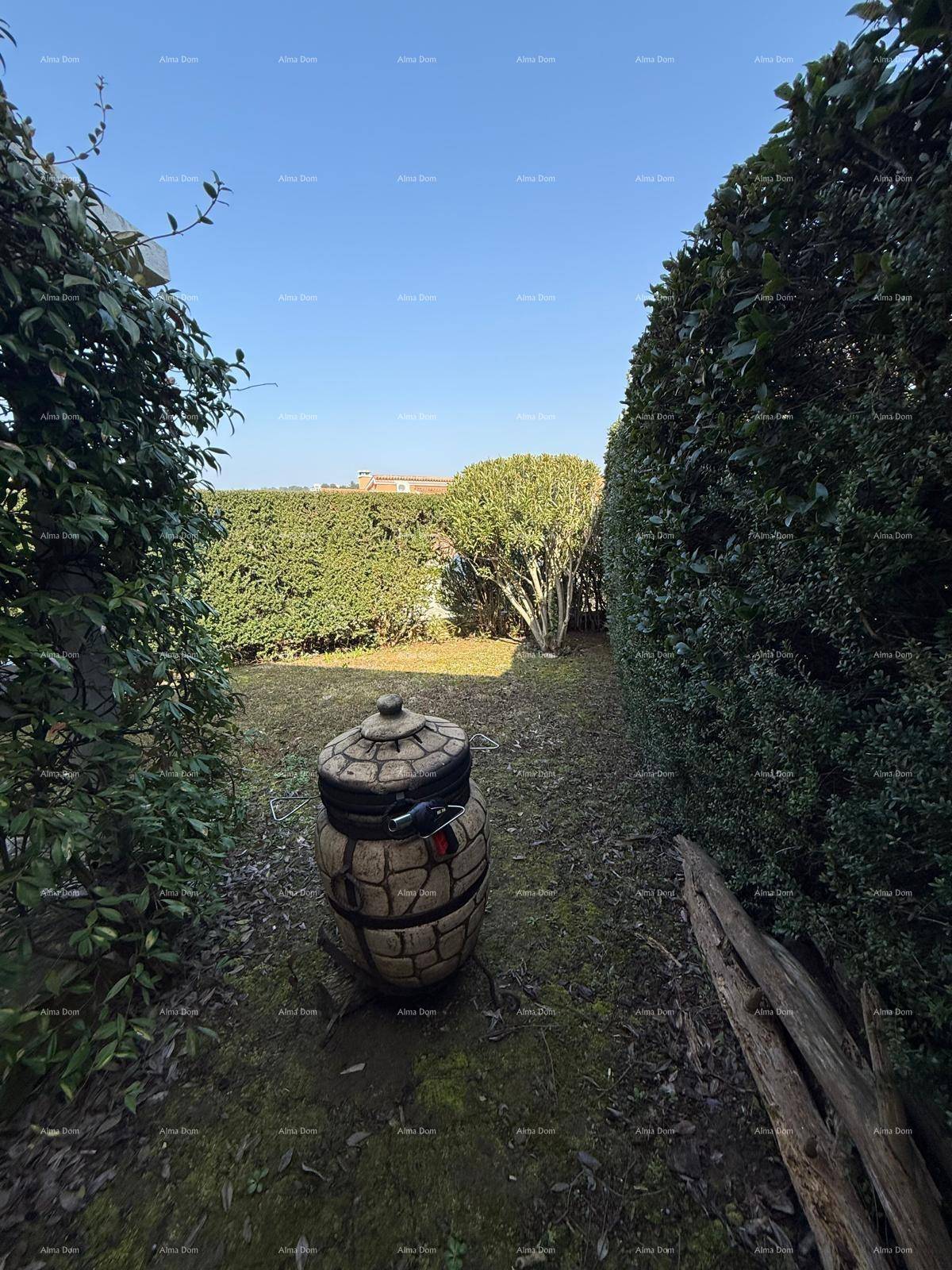 Grüner Gartenbereich mit hohen Hecken und einem dekorativen Steintopf.