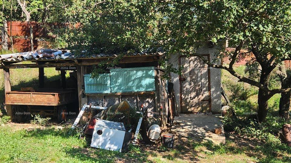 Rustikaler Schuppen oder Nebengebäude im Garten, umgeben von Bäumen und Grünflächen.