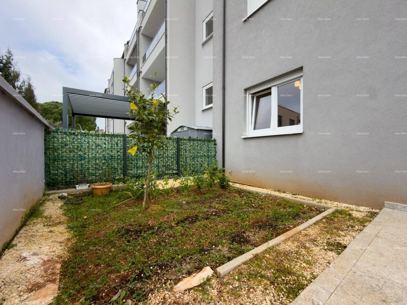 Kleiner Gartenbereich mit jungem Baum, Gabionenzaun und gepflastertem Weg.