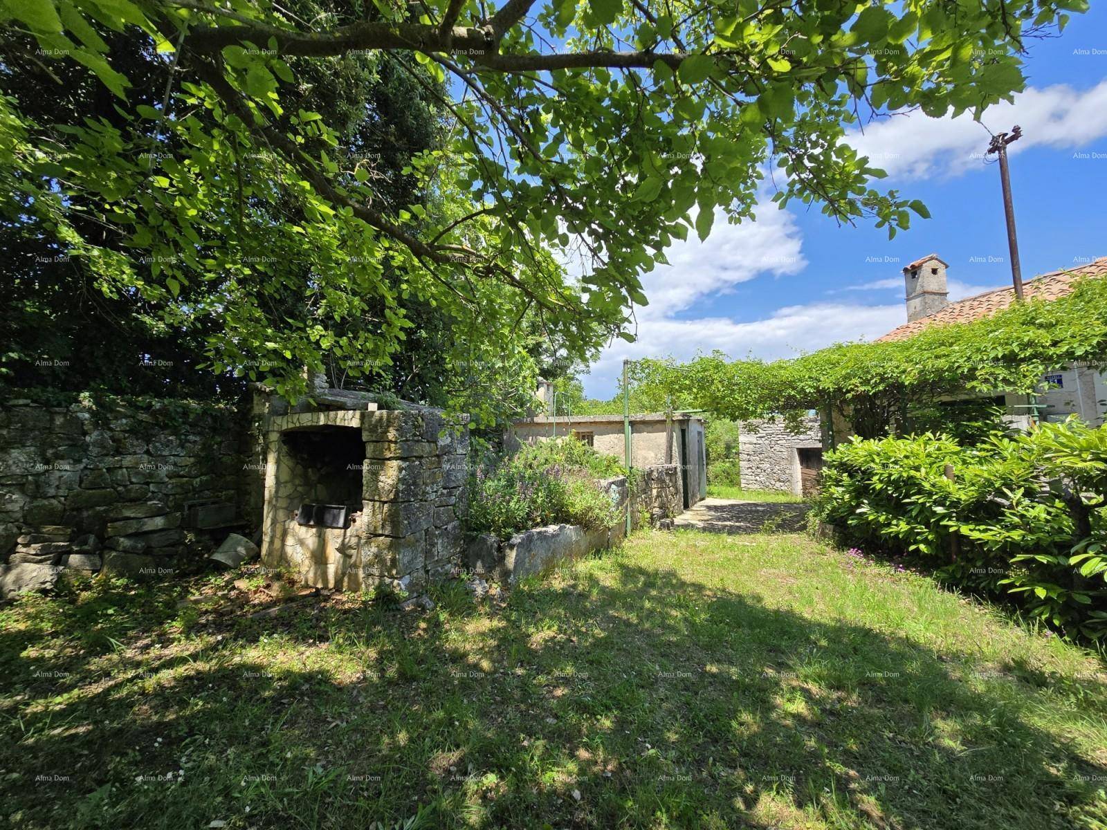 Gartenbereich mit gemauertem Grillplatz, Rasenfläche und alten Gebäuden im Hintergrund.