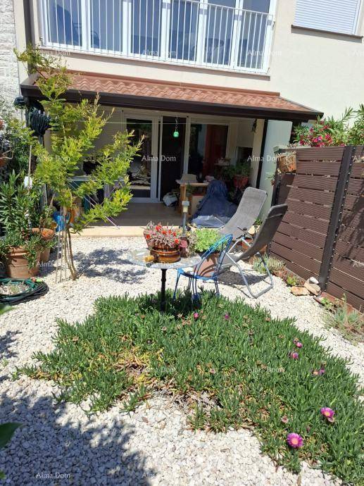 Entspannungsbereich im Garten mit Liegestühlen, Pflanzen und Blick auf die Hausfassade.