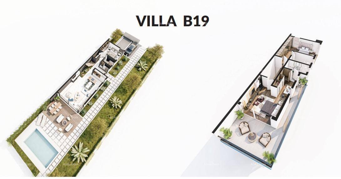 Slide 8