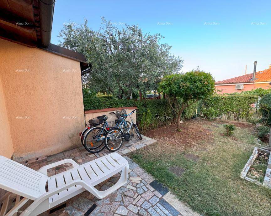 Entspannter Terrassenbereich mit Liegestuhl, Fahrrädern und umgebender Hecke im Garten.