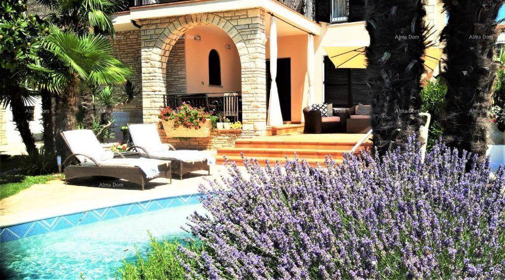 Mediterraner Außenbereich mit Pool, Sonnenliegen und blühendem Lavendel vor der Villa.