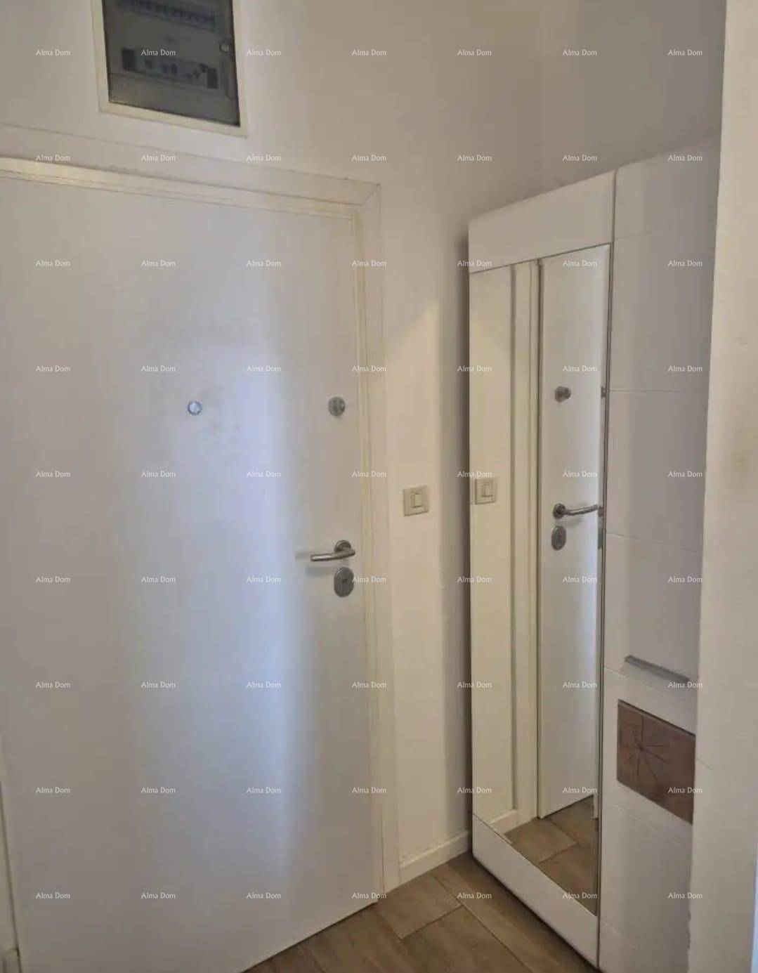 Heller Flur mit weißer Eingangstür und einem großen Spiegelschrank.