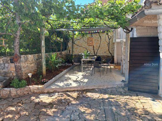 Gemütliche überdachte Terrasse mit Sitzgelegenheiten und Weinreben, ideal für entspannte Stunden.