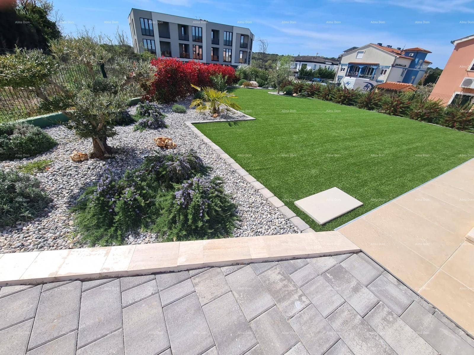Gepflegter Gartenbereich mit Kunstrasen, Zierpflanzen und Blick auf die Nachbarschaft.