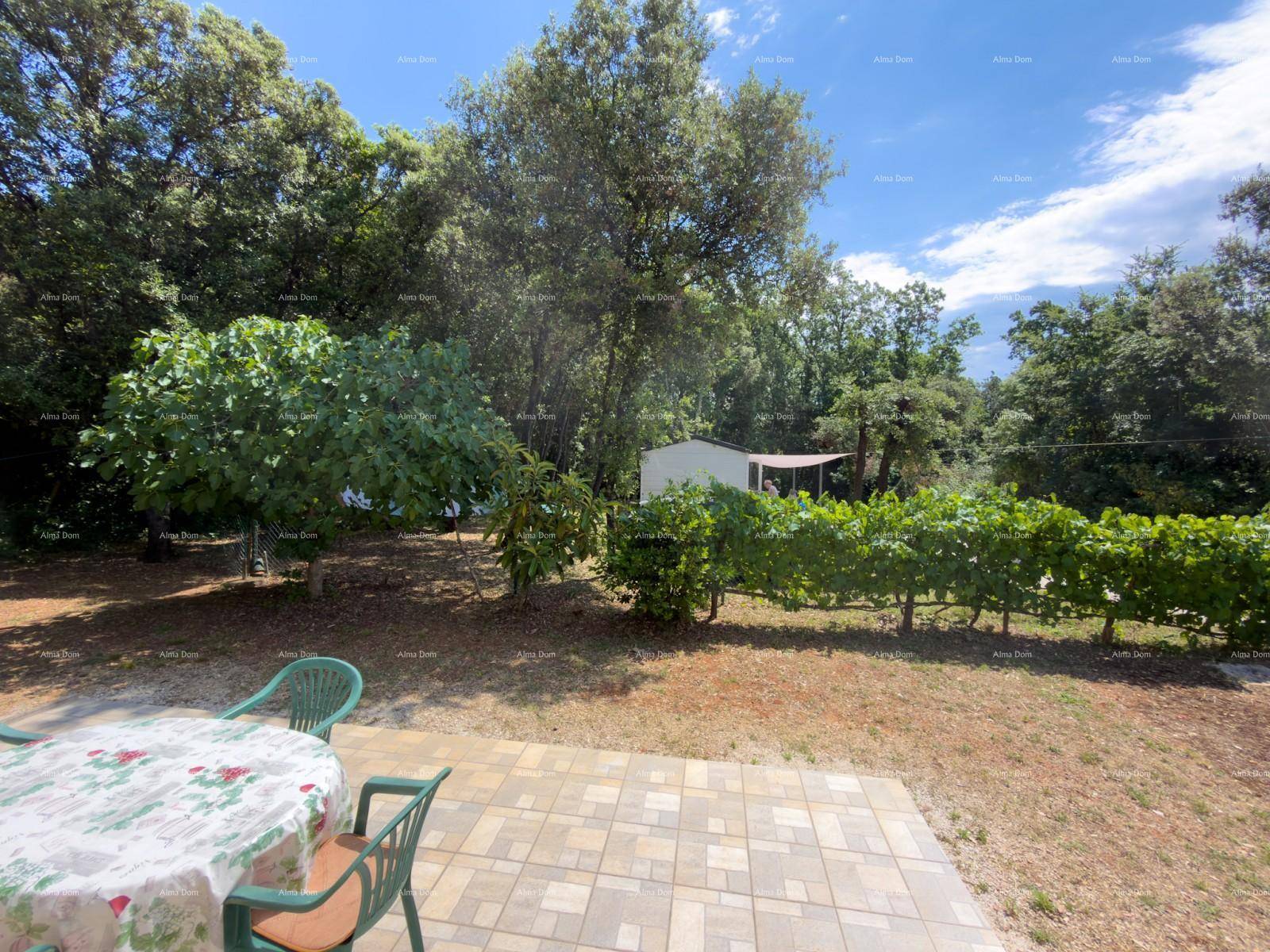 Gepflasterter Sitzbereich im Garten mit Esstisch und Blick auf Weinreben und Bäume.
