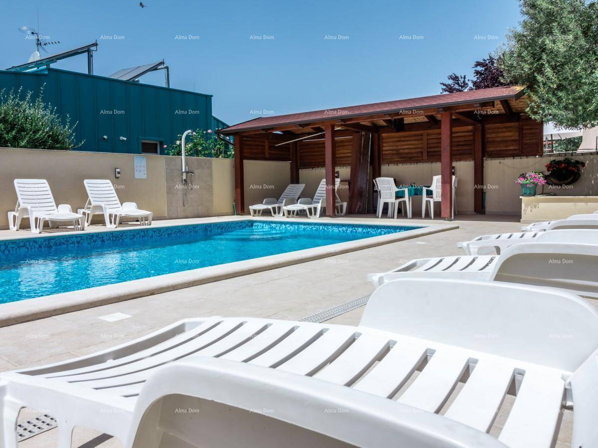 Außenbereich mit großem Swimmingpool, vielen Liegestühlen und einer überdachten Sitzgelegenheit.
