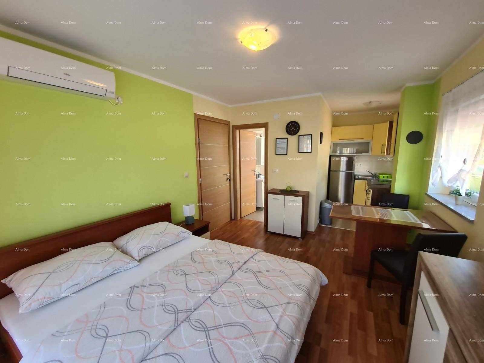 Studio-Apartment mit Bett, kleiner Küchenzeile und Zugang zum Badezimmer, in frischem Grün.