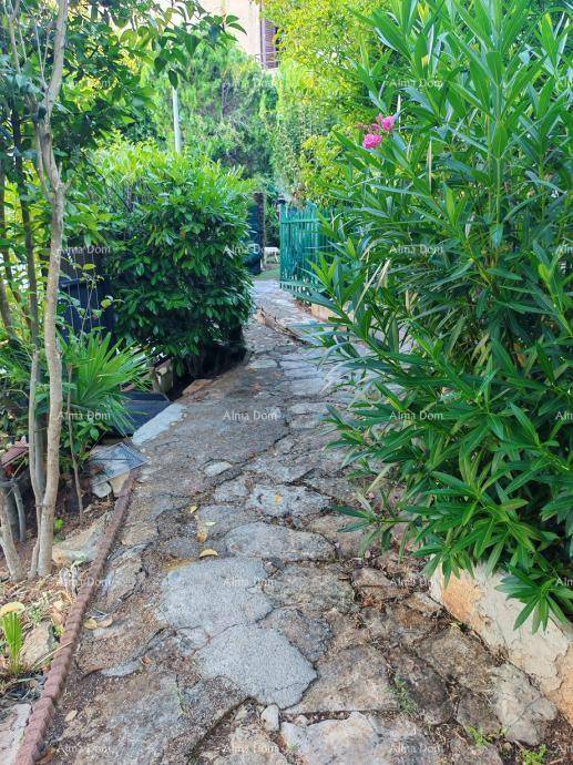 Steinweg schlängelt sich durch einen üppigen Garten mit dichter Vegetation und Sträuchern.