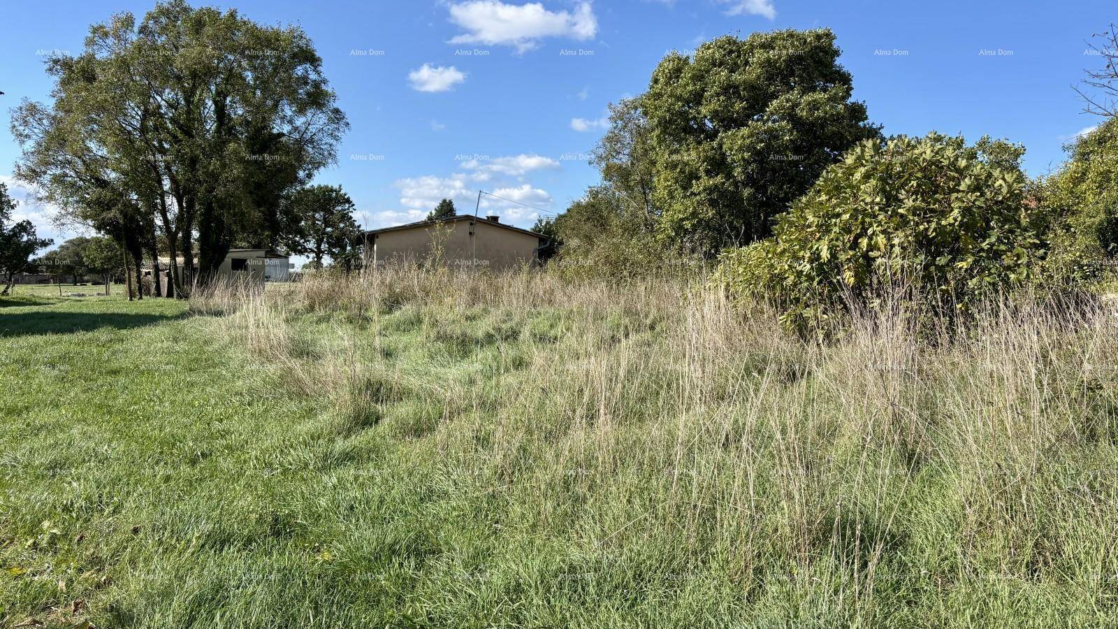 Grünes Grundstück mit hohem Gras, Bäumen und einem Gebäude im Hintergrund unter blauem Himmel.