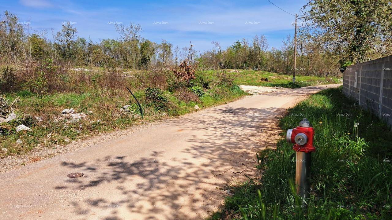 Unbefestigte Straße mit einem Hydranten und umgebender, unberührter Naturlandschaft unter blauem Himmel.